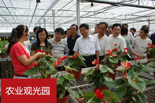 Yan an Agricultural Tourism Park Testimonial